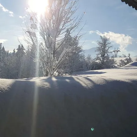 Woergoetter Astrid Und Sepp Sankt Johann in Tirol